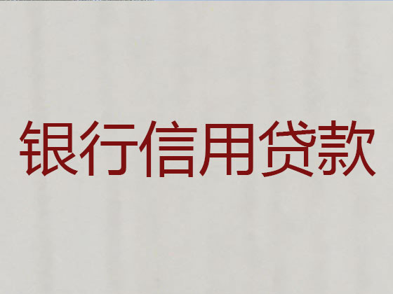 汉川市本地贷款公司